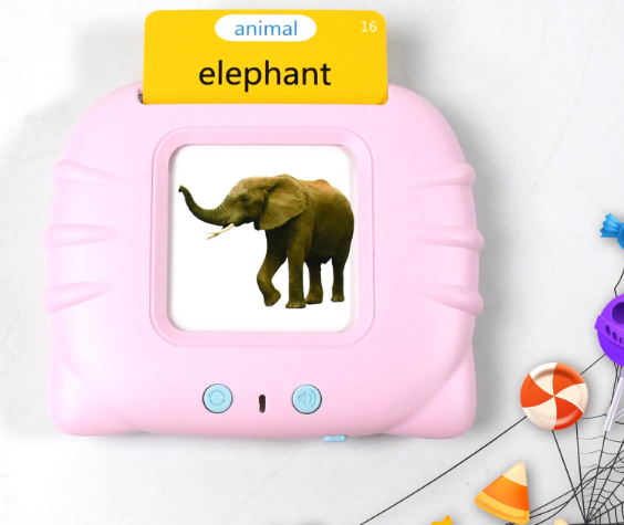 Educational Infant Flash Cards  | For Fun & Learning